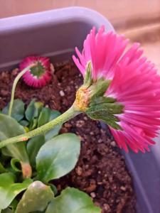 received 1499796856846186 received 1499796856846186