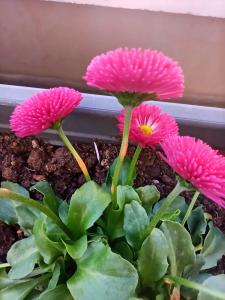 received 209756523785403 received 209756523785403