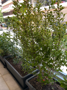 Screenshot 2025 06 17 at 12.06.05