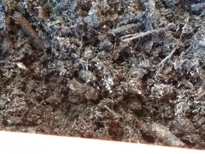 IMG 20200430 175331 IMG 20200430 175331