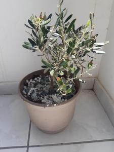 96001396 162373971864420 7215914579086278656 n 96001396 162373971864420 7215914579086278656 n