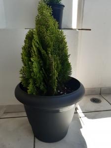 96405251 1469057623281839 3394414002372083712 n 96405251 1469057623281839 3394414002372083712 n