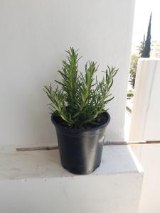 96097661 3172566772836457 3594696921614123008 n 96097661 3172566772836457 3594696921614123008 n