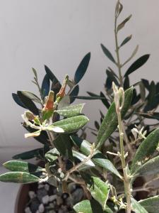 95924402 545087879727101 8041118078869700608 n 95924402 545087879727101 8041118078869700608 n