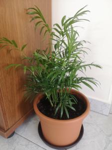 15892781615165202112352850268640 15892781615165202112352850268640