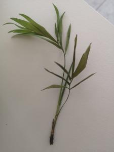 15892782022716406951748271185814 15892782022716406951748271185814