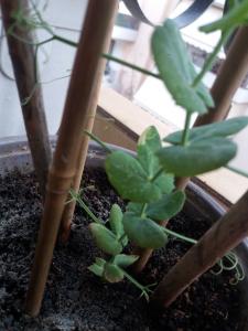 20200512 184108 20200512 184108