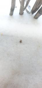 20200513 131631 20200513 131631